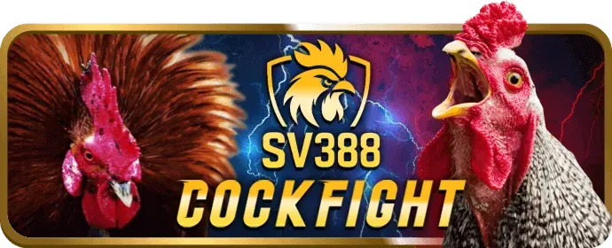 Đá gà và Xổ số trangbet88